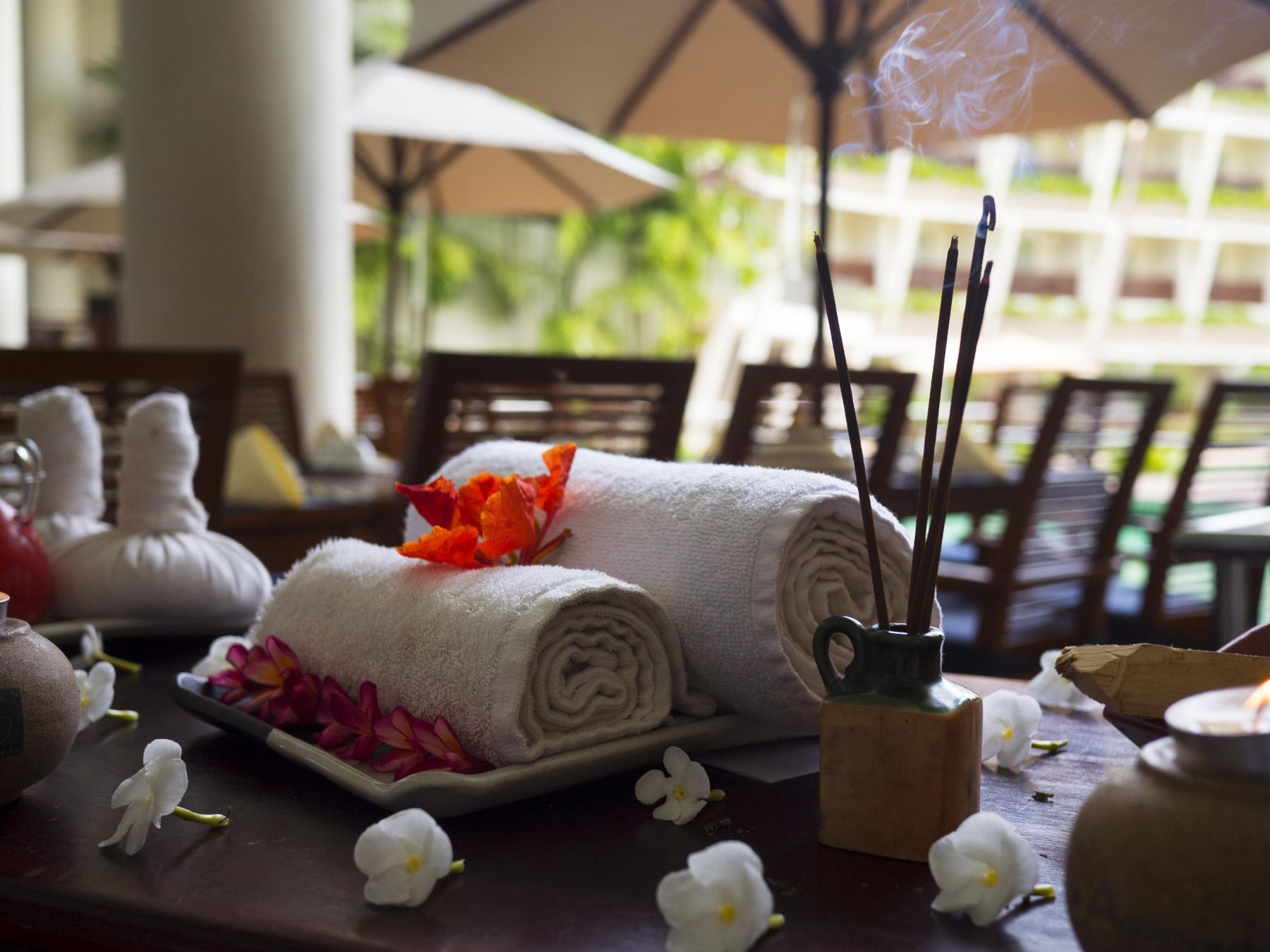 Botanical Steam Pause — illustrative spa photograph